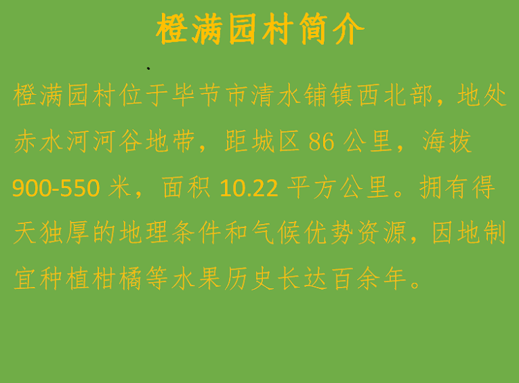 七星关橙满园椪柑 5kg 不催熟，不打蜡，无公害认证