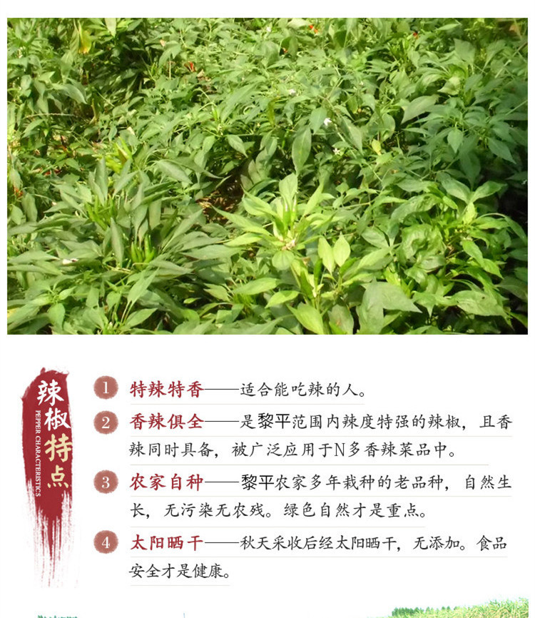 黔东南 黎平县千三侗寨烧辣椒   香辣手搓椒120g 省内包邮