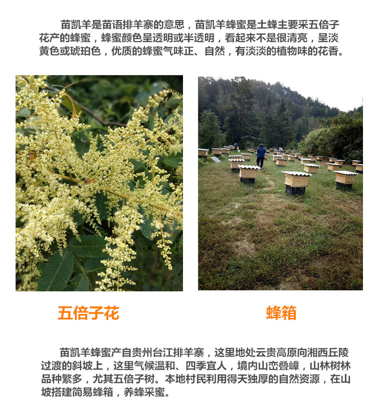  【农家土蜂蜜】贵州台江苗凯羊土蜂蜜 1斤装 清香润口 质地浓稠  贵州省内包邮