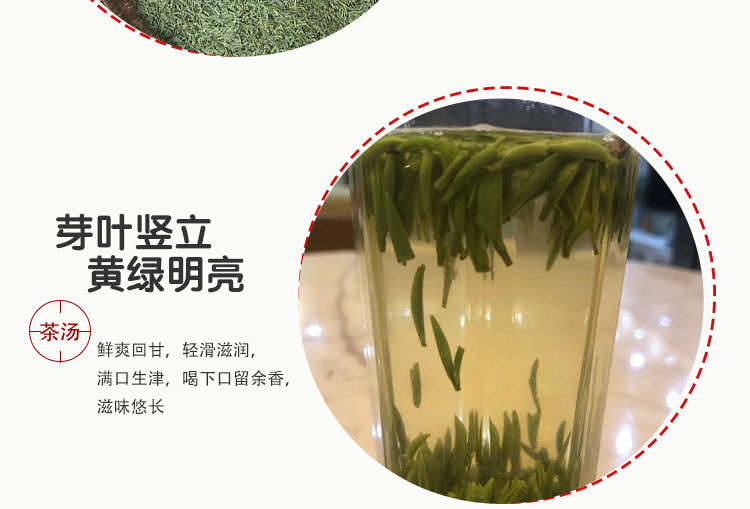  【岑巩天马翠芽春茶】100g/200g 2020年明前茶 全国包邮 部分地区不发货