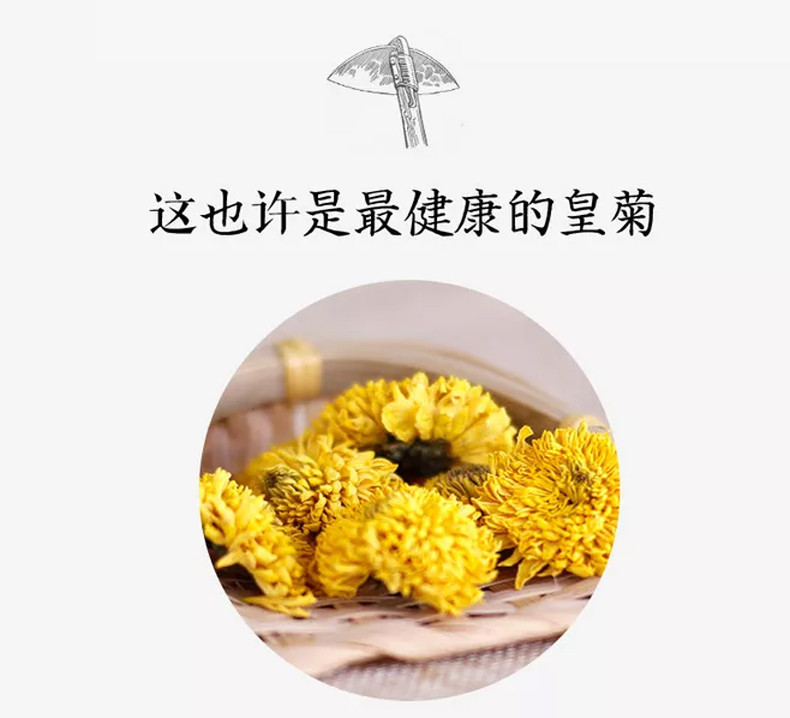 锦屏【金丝黄菊】菊花茶 100g/罐 省内包邮