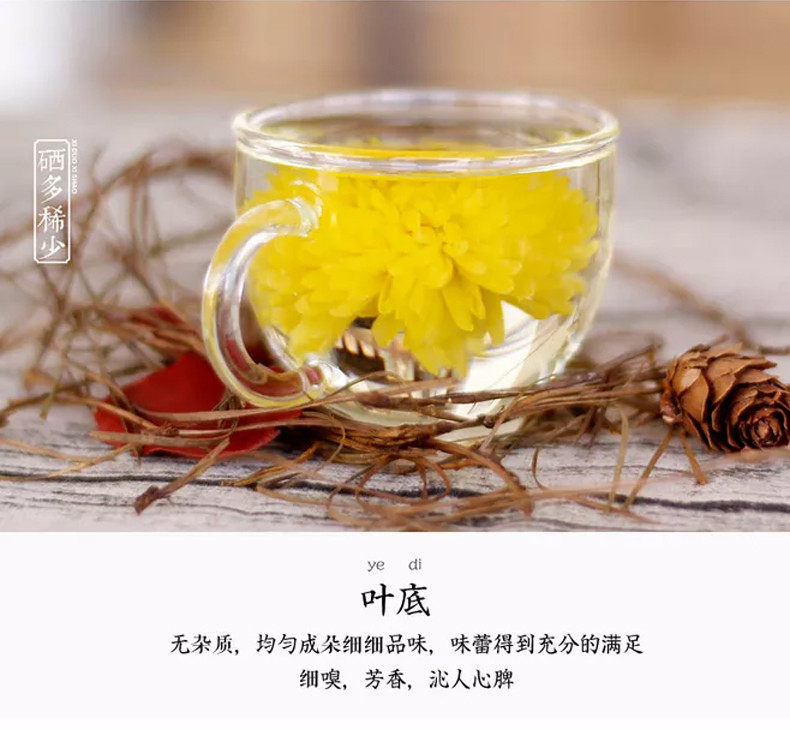 锦屏【金丝黄菊】菊花茶 100g/罐 省内包邮