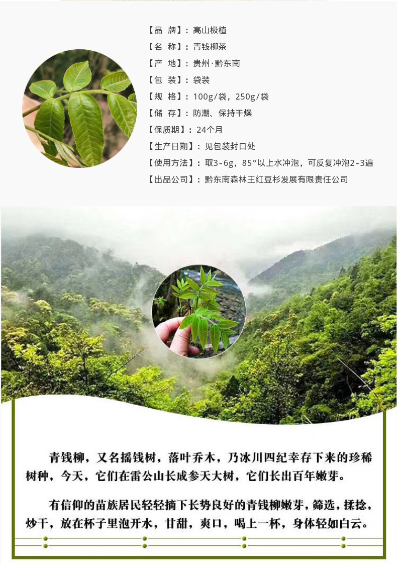 凯里青钱柳茶【规格100g / 250g】全国包邮 偏远地区及港澳台不发货