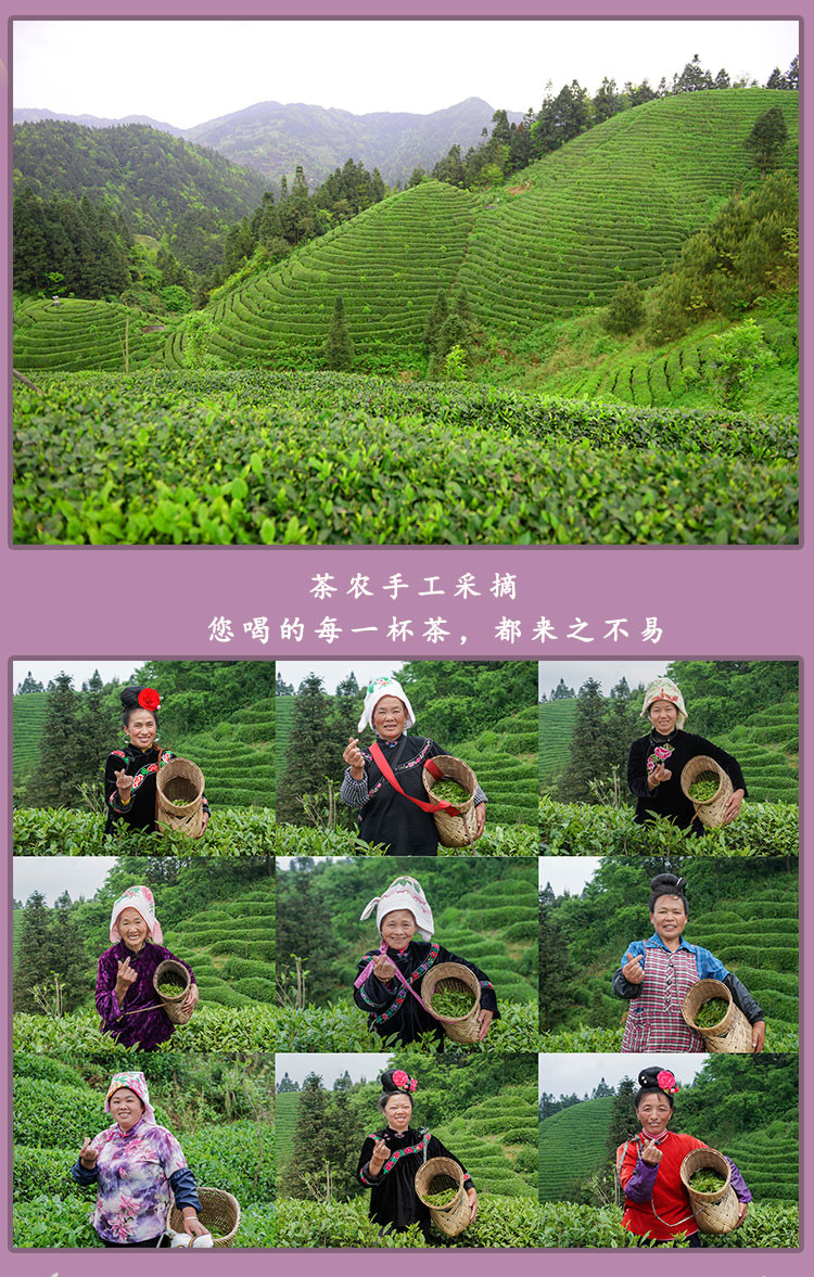 【云尖茶叶】贵州雷山 雷山云特级红梅茶 高山红茶120g/盒 包邮