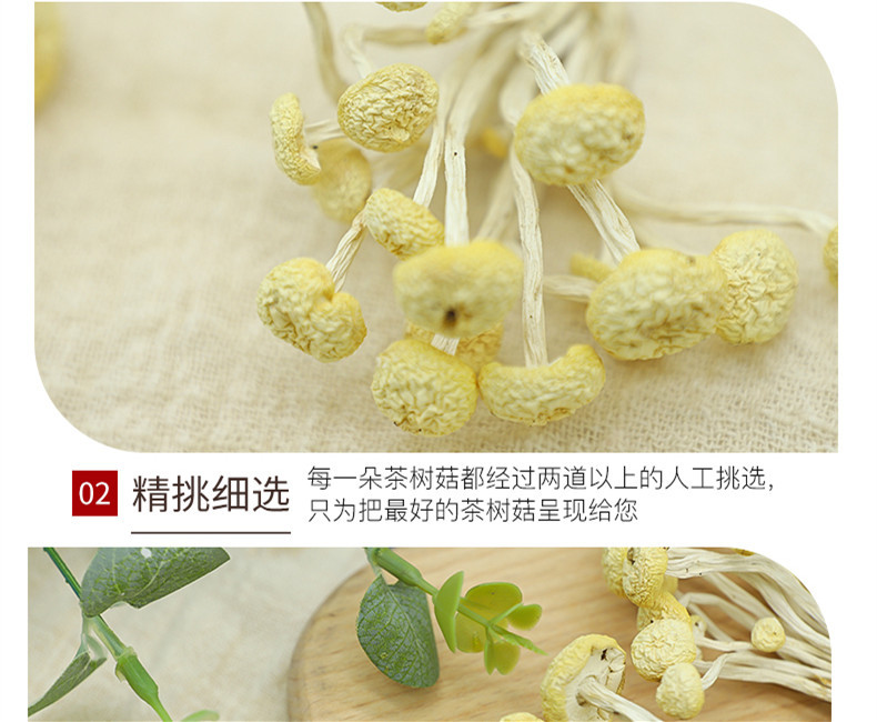 【贵州黔东南】岑巩 林下茶树菇  白菇160g/袋  高山好菇 源于自然 部分地区包邮