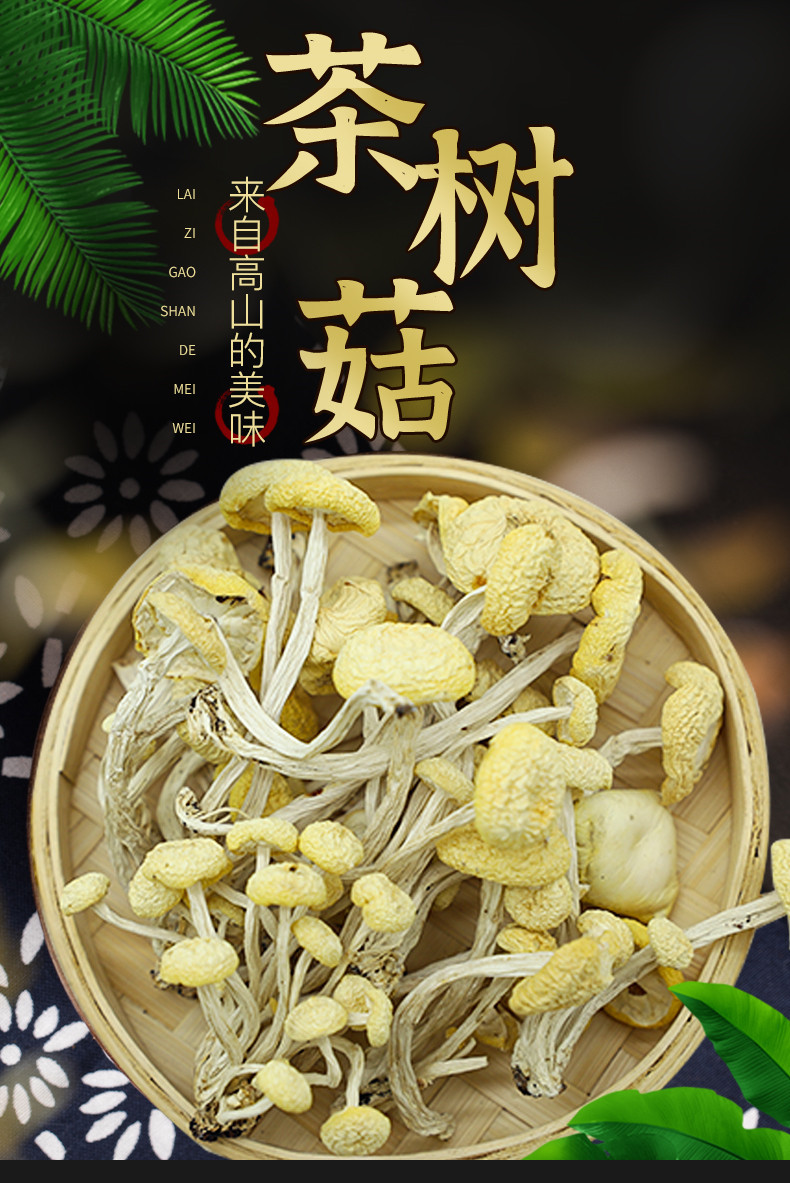 【贵州黔东南】岑巩 林下茶树菇  白菇160g/袋  高山好菇 源于自然 部分地区包邮