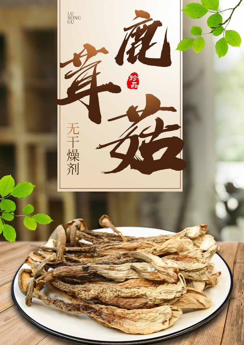 【鹿茸菇】贵州剑河干鹿茸菇 菌菇 80g/袋  菌香浓郁 营养美味 包邮