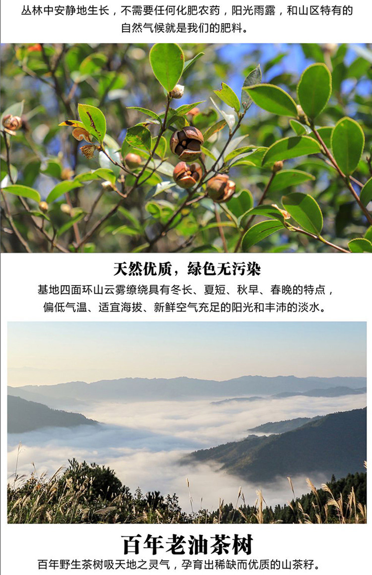 云照山 【买1送1】贵州锦屏【云照山山茶油】物理压榨食用油 山茶油