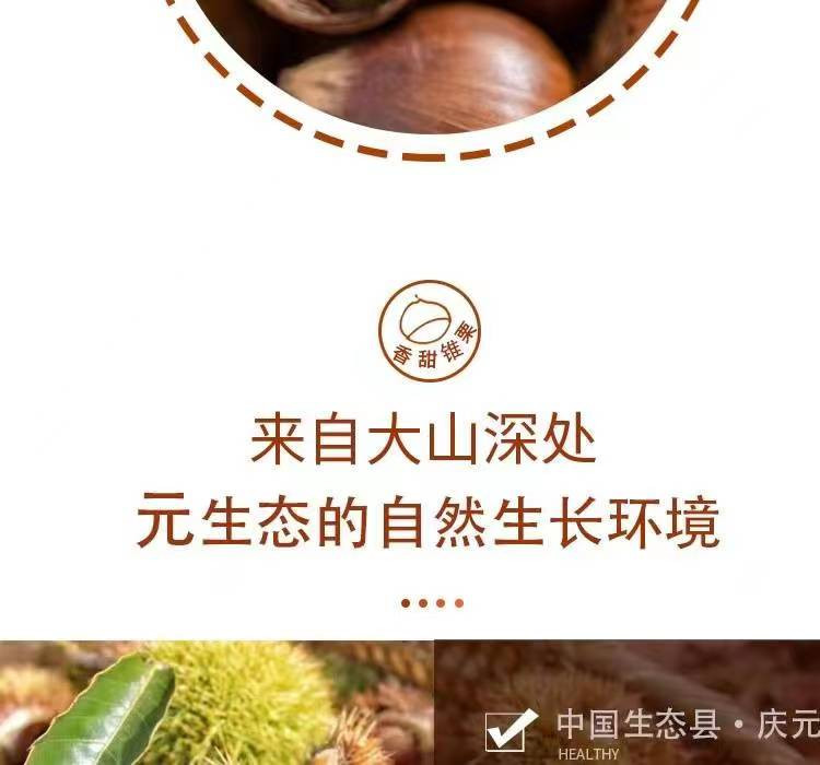 天堂山 【庆元农品】锥栗即食免剥礼盒装