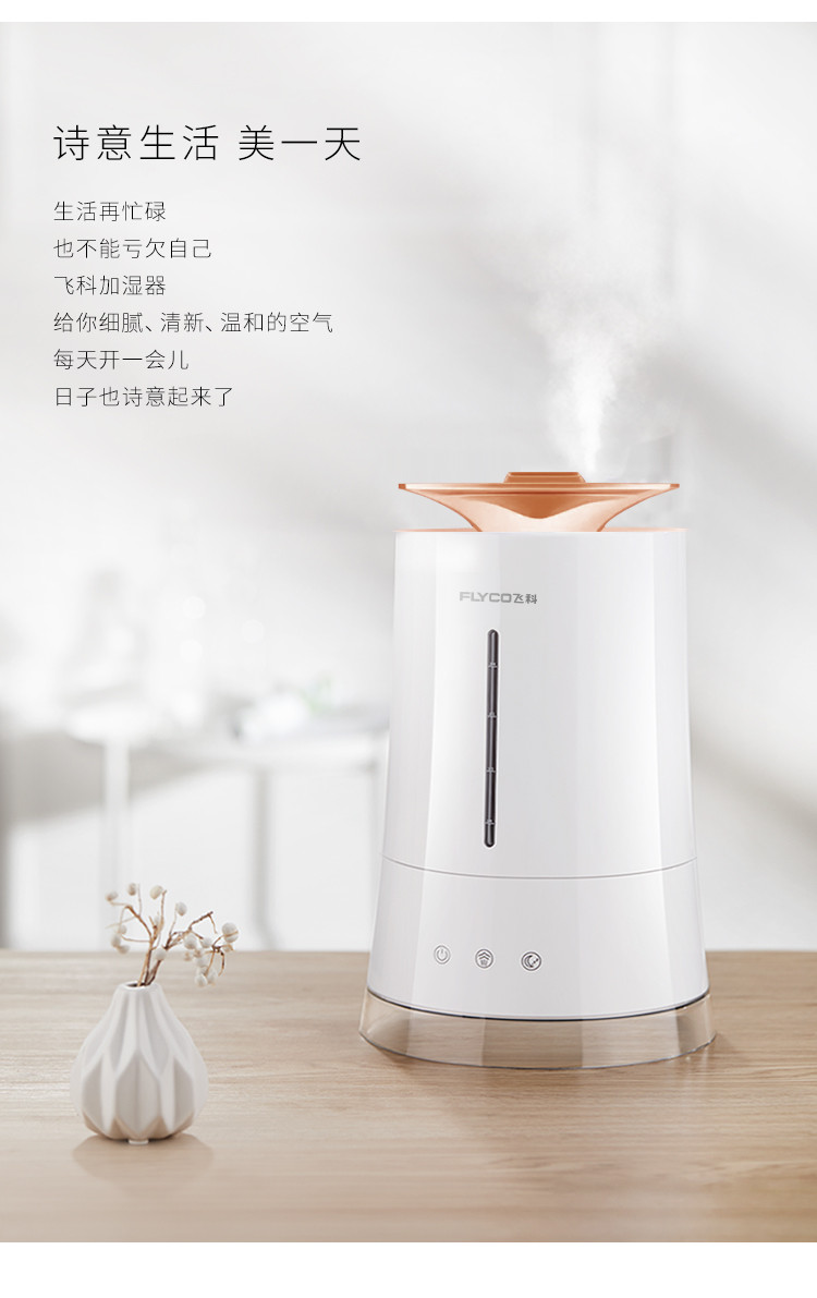 飞科FH9226加湿器（仅河北省内寄递）