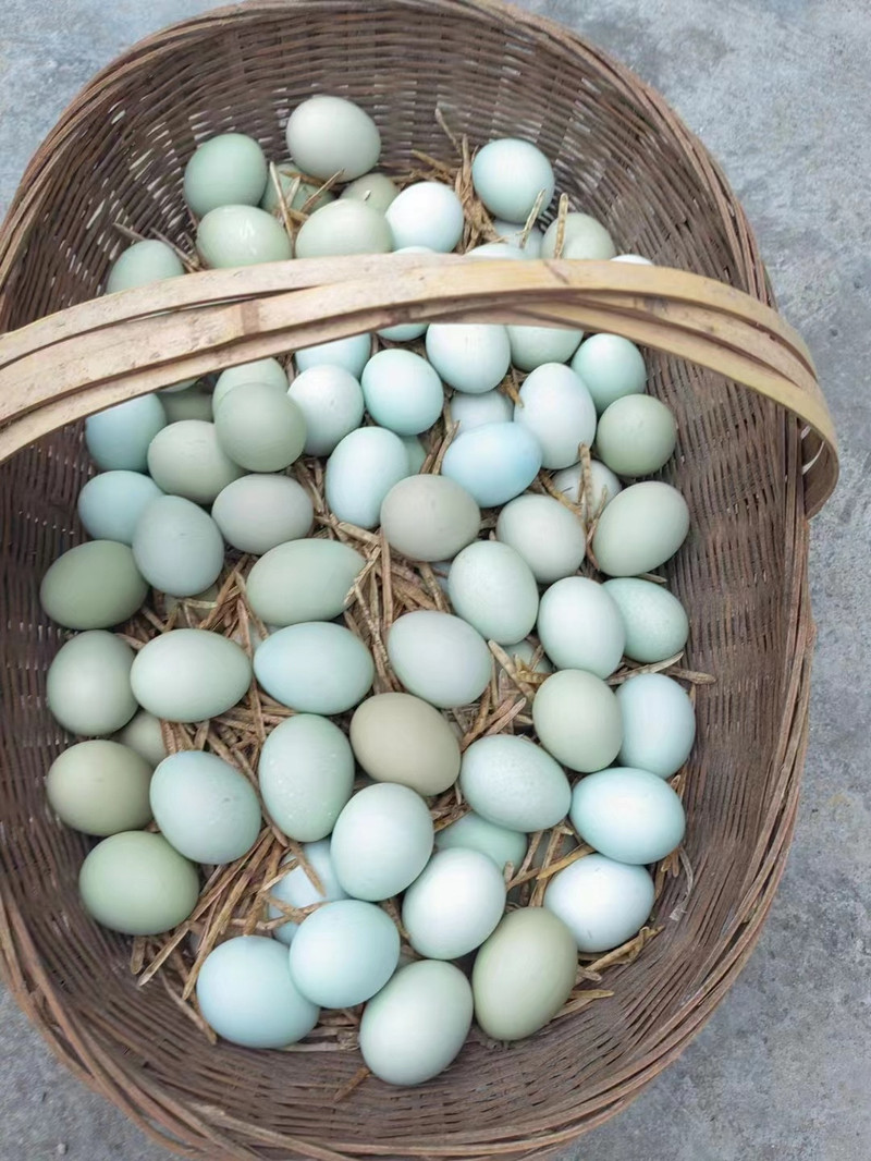 农家自产 【涪陵邮政】绿壳鸡蛋25枚*1盒