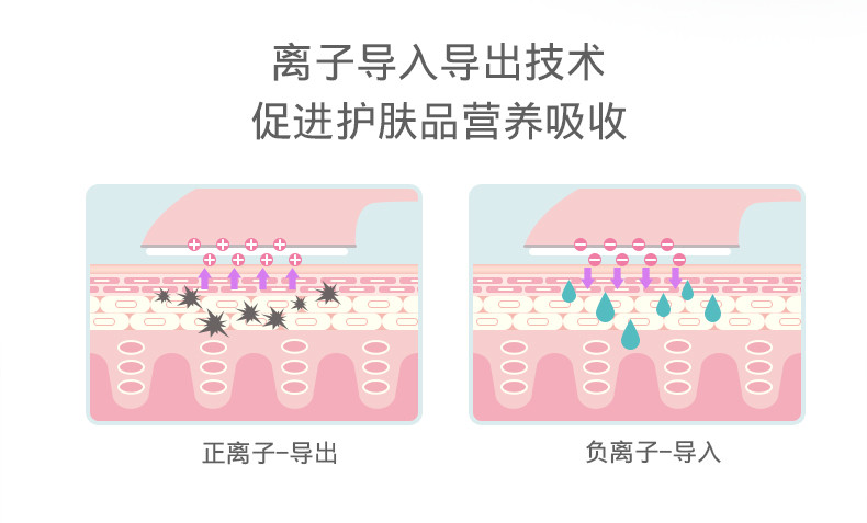 美克斯美容仪器离子导入仪导出家用脸部洁面仪毛孔清洁器NV8528