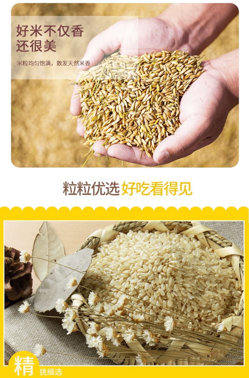 先农氏 糙米2.5kg 五常稻花香  五谷杂粮 粗粮 大米伴侣 真空装 无添加