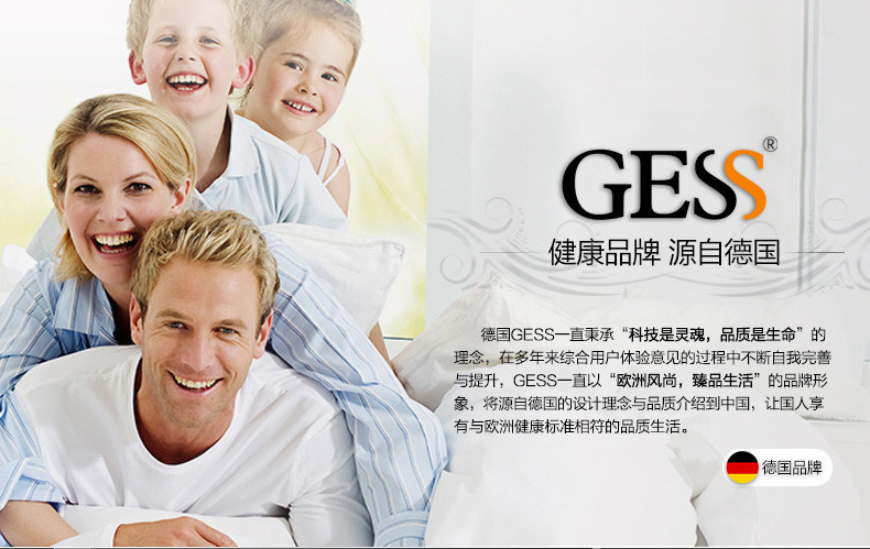 GESS 德国品牌 颈椎按摩器 按摩靠垫 颈部腰部肩部按摩椅垫 多功能按摩垫按摩仪 GESS817