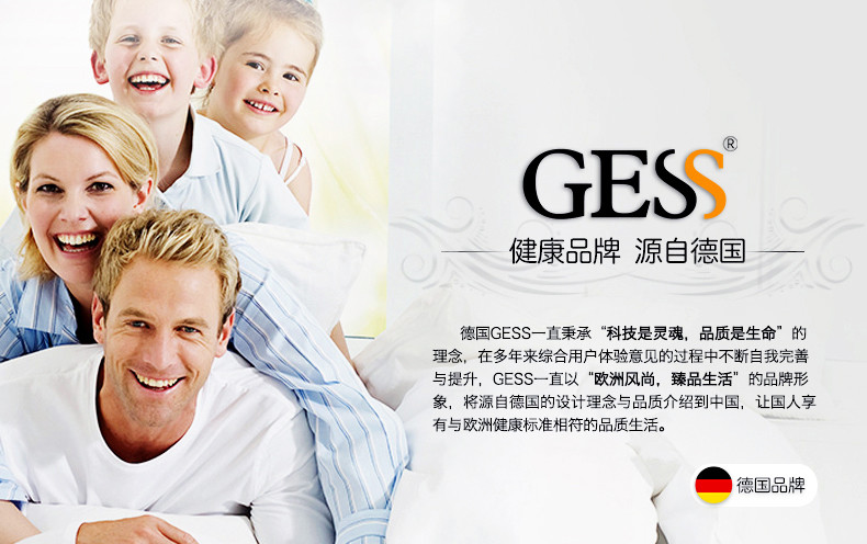 GESS 德国品牌 按摩器 多功能电动按摩棒 颈部腰部肩部腿部按摩捶 GESS803