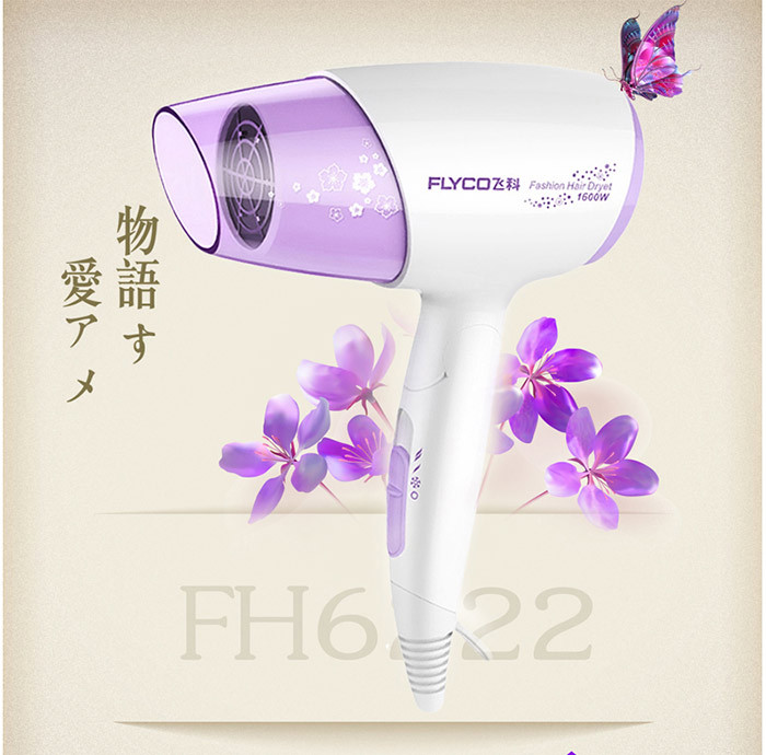 飞科/FLYCO 家用静音可折叠便携式吹风机电吹风大功率吹风筒 FH6222