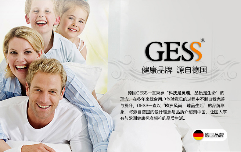 GESS 德国GESS308车载颈椎多功能按摩枕电动家用按摩器颈肩乐