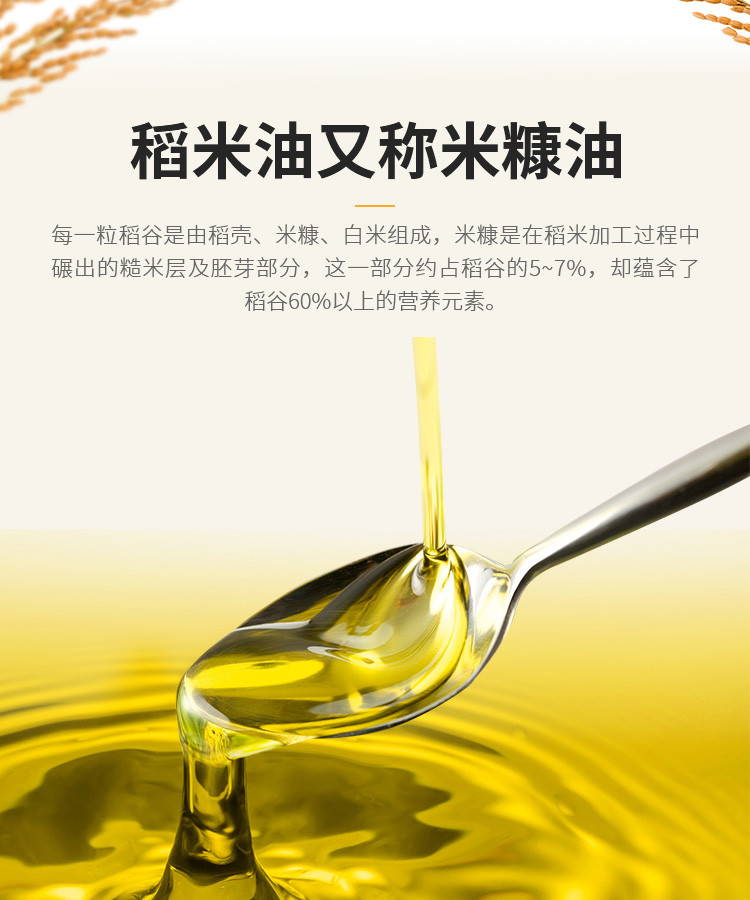 五丰 五丰稻米油1.8L 非转基因食用油 含维生素E