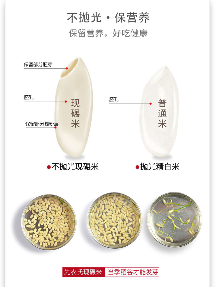 先农氏 五常大米生态稻香米4kg（2kg*2袋）不抛光 双层真空装