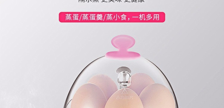 九阳/Joyoung煮蛋器多功能智能早餐蒸蛋器自动断电5个蛋量ZD-5W05