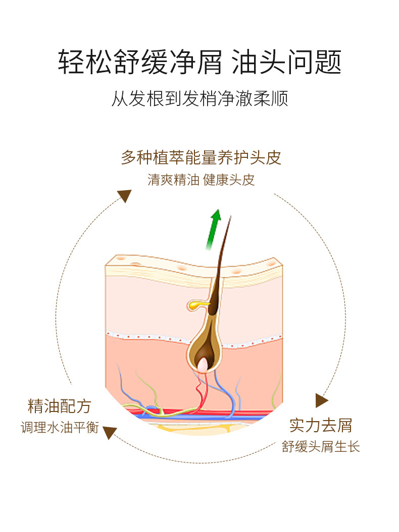 蜜斯莉 Miss Lilly 蜜斯莉 植萃系列洗护套装500ml+500ml