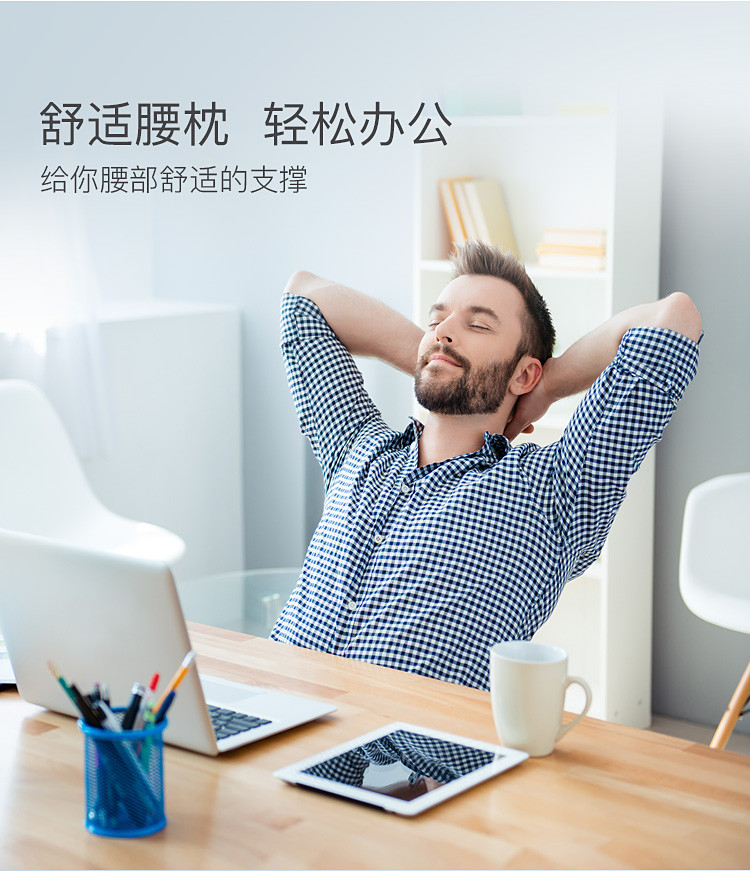 邓禄普 礼盒装斯里兰卡进口天然乳胶枕护颈枕头 乳胶靠背枕