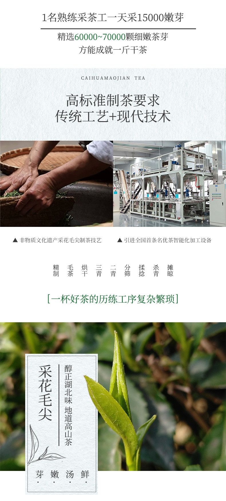 2023新茶上市 采花春芽（金标）100g芽茶特级 自饮推荐