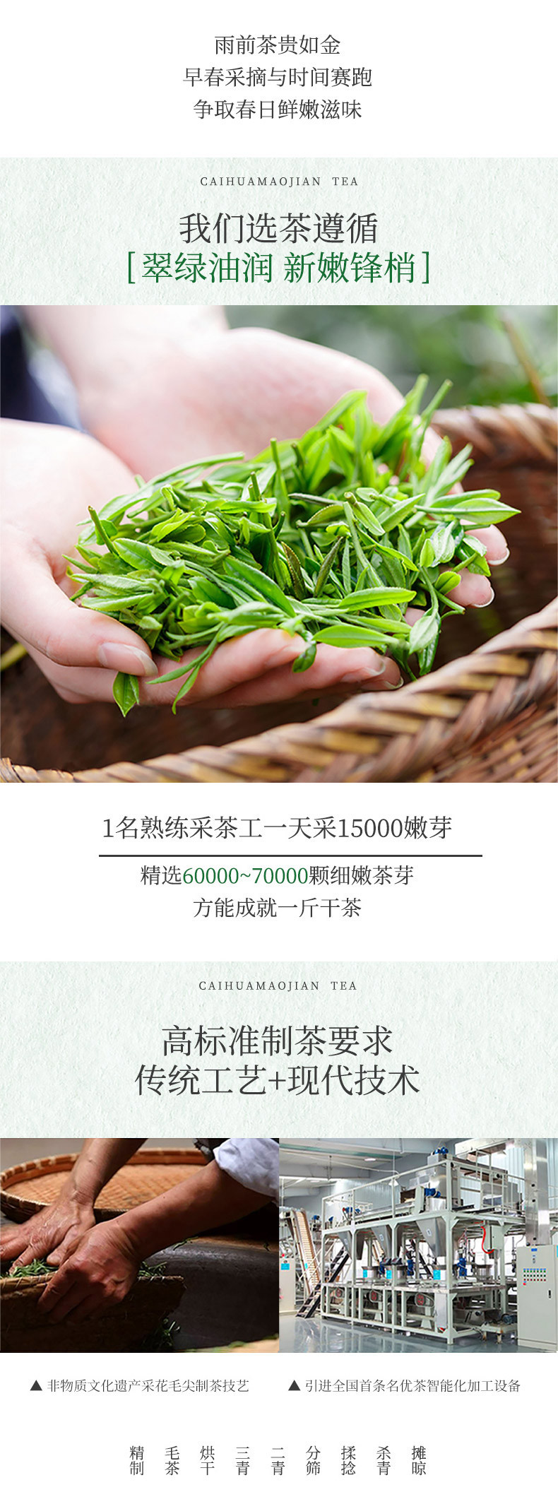 2023新茶宜昌毛尖罐装雨前一级绿茶半斤250g 待客自饮佳品