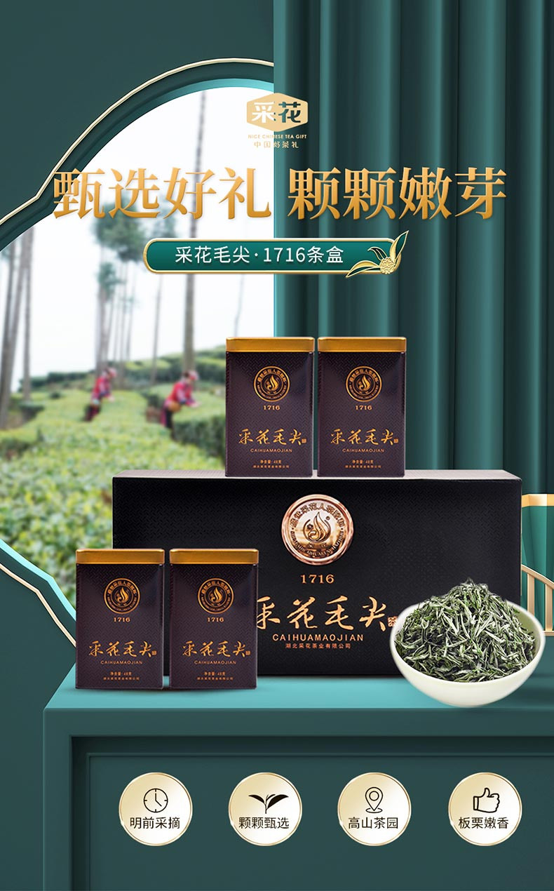 采花 绿茶1716明前高山芽茶经典好茶礼