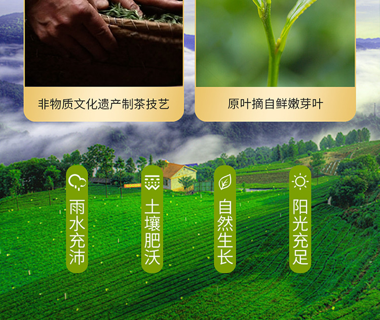 2023新茶 采花毛尖明前特级绿茶 五峰茶叶百圆惠100g芽茶