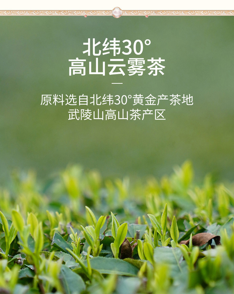 2023新茶采花毛尖特级绿茶200g牛皮纸袋装 湖北特产五峰绿茶