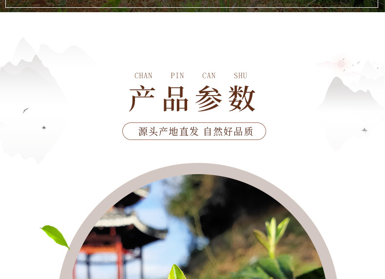 贵州黔东南【雷山脚尧茶】雷公山绿茶 100g/袋 全国包邮