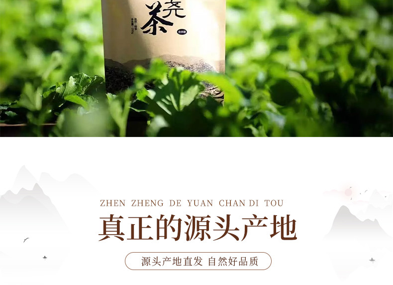 贵州黔东南【雷山脚尧茶】雷公山绿茶 100g/袋 全国包邮