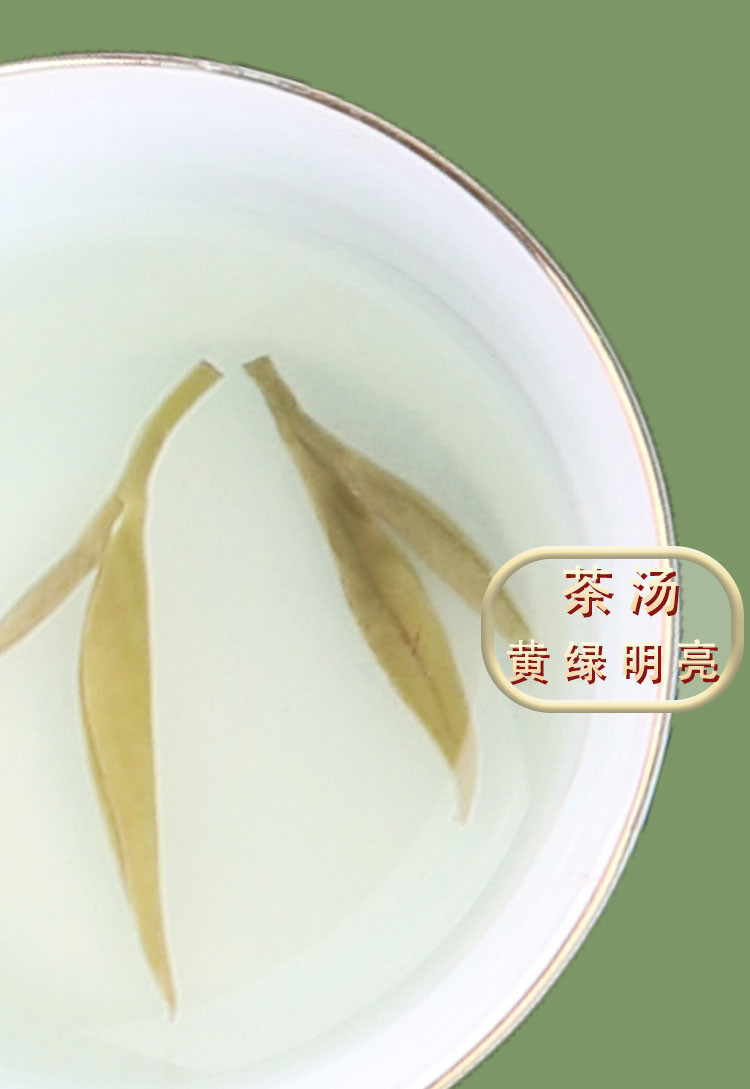 雷山云 雷山银球茶（特级）