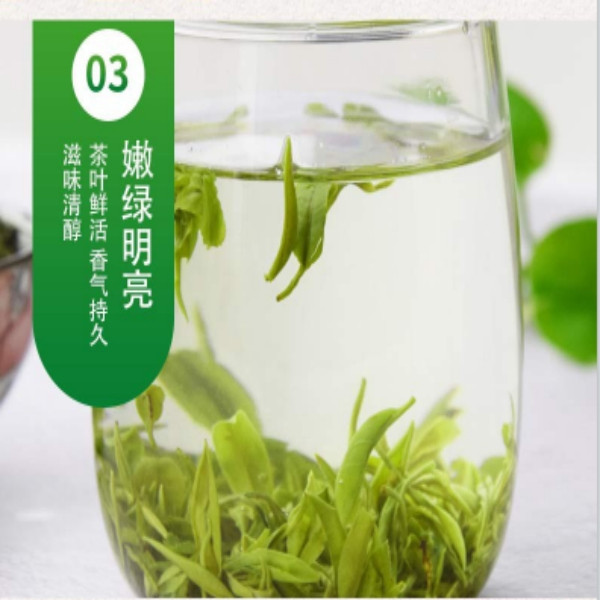 脚尧茶业 高山绿茶特级50g/听