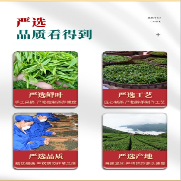 脚尧茶业 【脚尧茶叶】脚尧茶特级250g