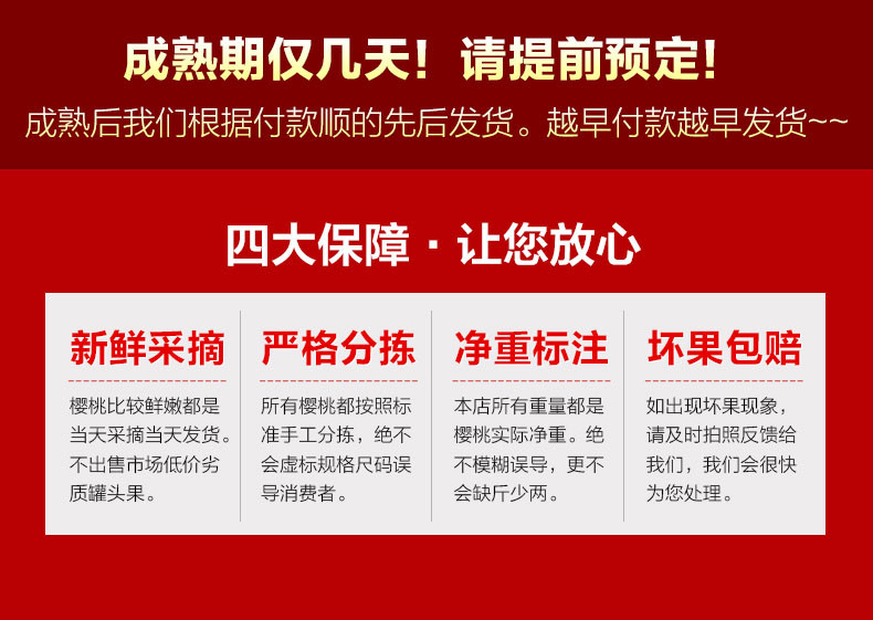 【预售大樱桃】河南新安美早车厘子新鲜大樱桃露天果园直发早晨5点至9点采摘2斤装EMS航空包邮拼团