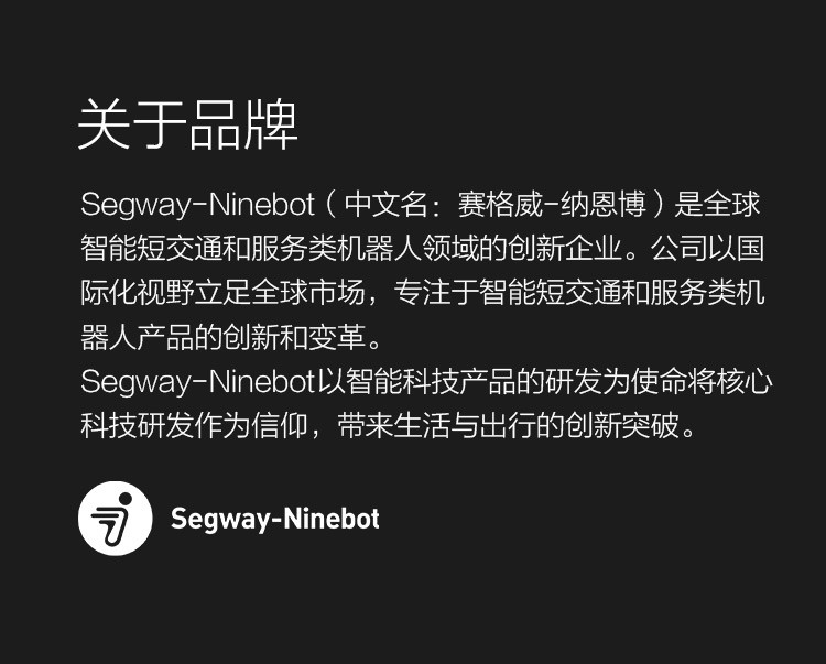 九号（Ninebot）平衡车护具