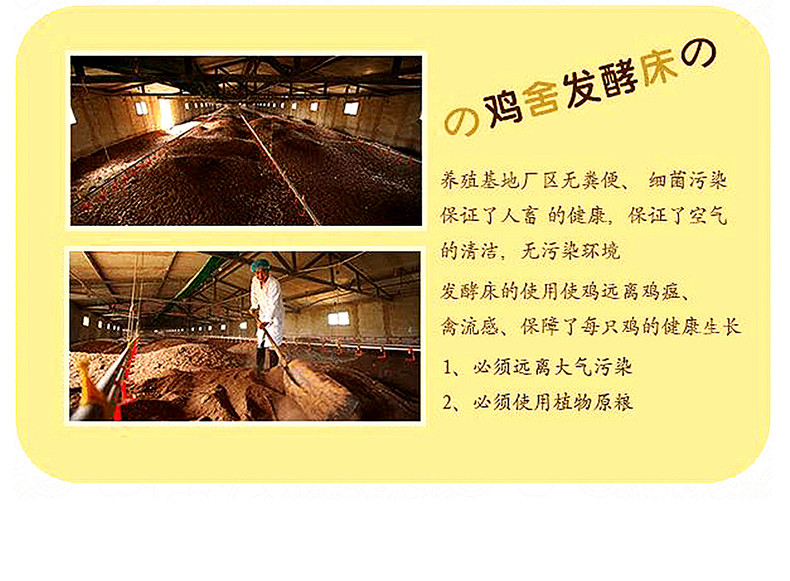 北京油鸡老母鸡 农家散养 走地鸡 土鸡 整鸡 品味三百年历史的宫廷御用鸡 月子鸡 约1k 整鸡