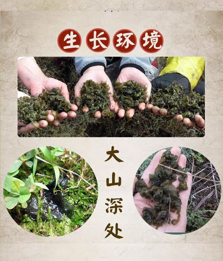 【河南邮政】 嵩州味道干地皮菜50克/瓶