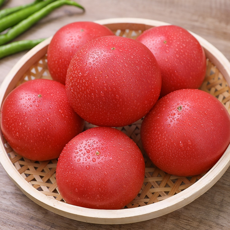 【夕阳菜市场】本地农家自种西红柿新鲜番茄3斤/袋  （新安县）