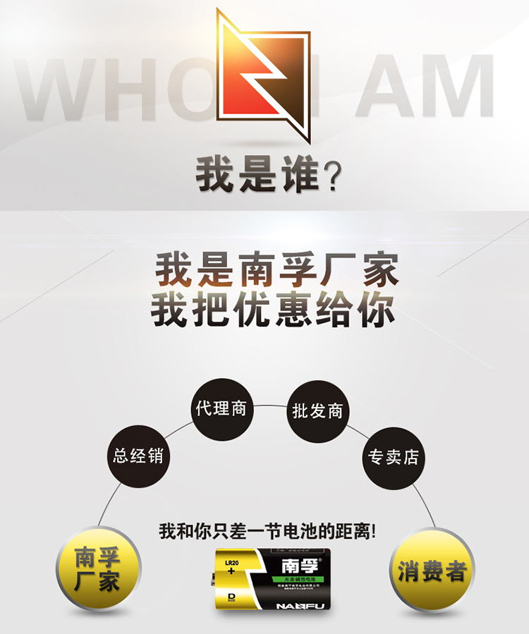 南孚(NANFU)大号1号电池 2粒碱性电池 1.5V手电筒收录机燃气灶热水器煤气灶电池