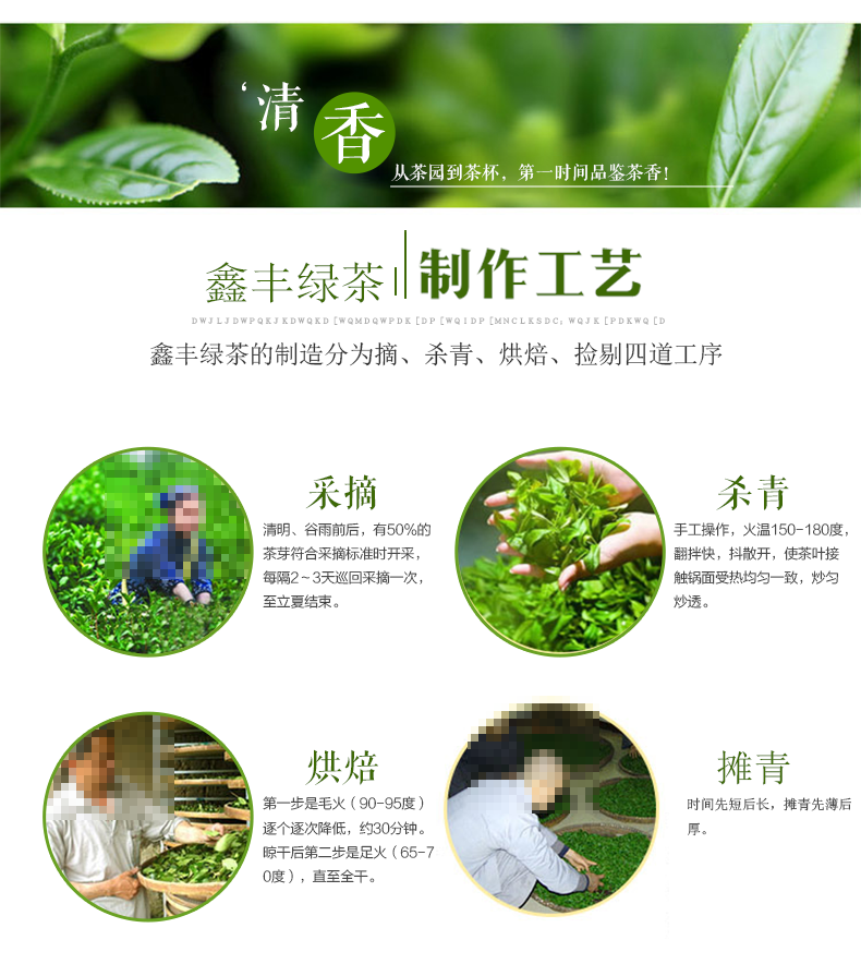 【邮政扶贫】问玄2022年新茶绿茶鑫丰·初心条形288g