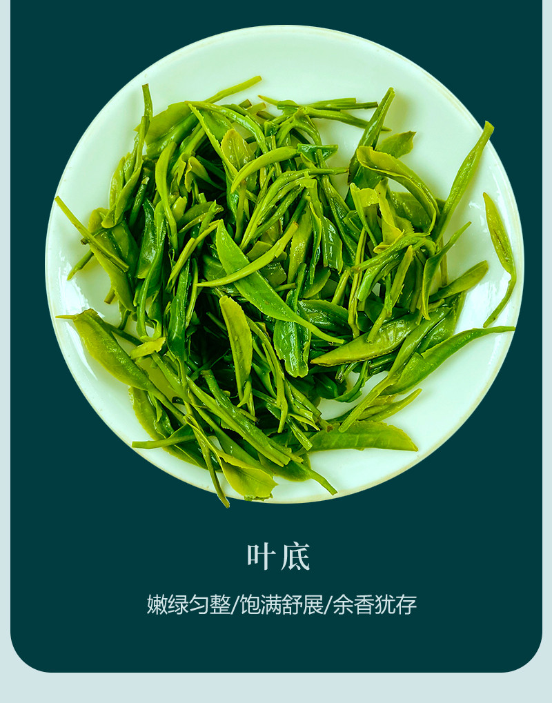 皇恩宠锡 皇恩宠锡 恩施.玉露·乾2023年新茶一级蒸青绿茶50g