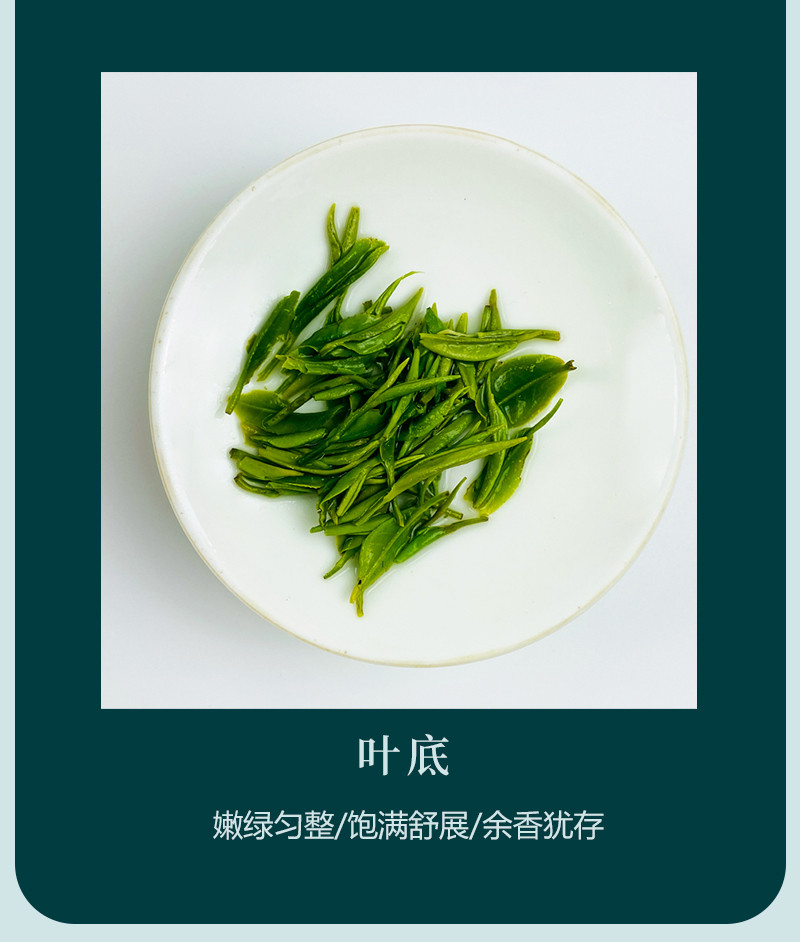 问玄 问玄 初心条盒2023年新茶伍家台贡茶 160g/条*2 送手提袋