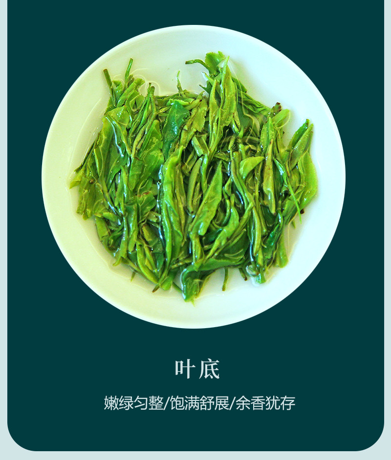 问玄 问玄 优选 初心袋装250g 伍家台贡茶实惠口粮茶