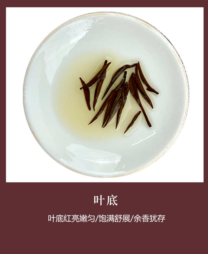 问玄 问玄 优选湖北茶叶礼盒装施玉露问玄一红茶一绿茶组合200g 新茶