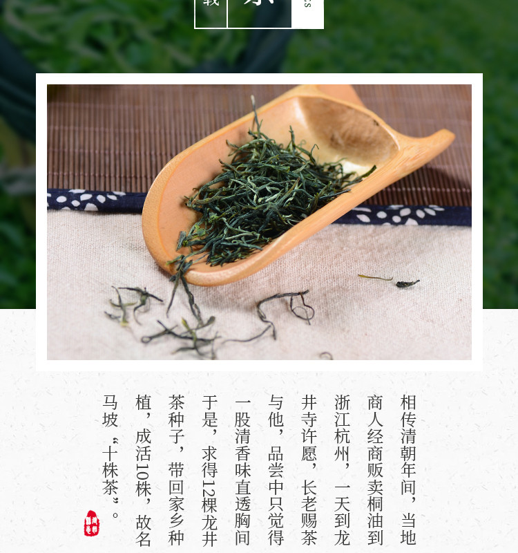 十株茶 建始马坡十株绿茶毛峰茶