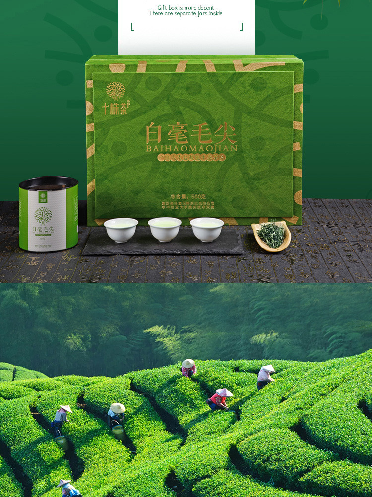 十株茶 建始马坡绿茶白毫毛尖礼盒装