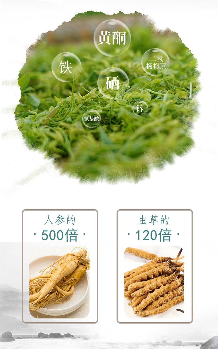 小藤匠 2024年芽茶来凤藤茶50g